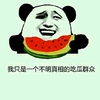 熊猫头 吃瓜群众 不明真相 斗图 搞笑 猥琐