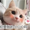 萌宠 喵星人 你要我的小心心吗 小心心给你 憨憨 可爱