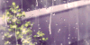 德卡先生的信箱 下雨 风景 动漫