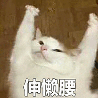 伸懒腰 猫 懒 可爱 呆萌