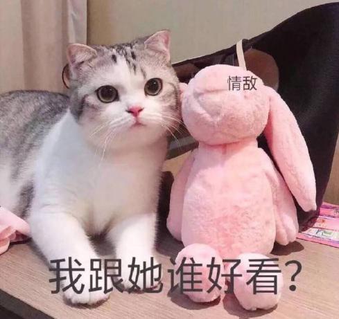 搞笑 魔性 大杂烩 沙雕 文字表情包