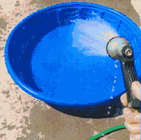 狗狗 想冲澡 搞笑 可爱