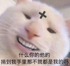 萌宠 喵星人 什么你的他的 捐给我就是我的 调皮 搞笑