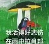 卡通 蘑菇 下雨 我活得好悲伤在雨中拉肖邦