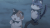 魔咒 动漫 喵喵 ^__^ gif 嘻嘻