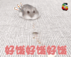 soogif soogif出品 仓鼠 好饿