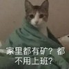 萌宠 猫星人 家里都有矿吗 都不用上班吗 搞怪 逗