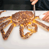 海鲜 美食 螃蟹