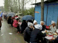 田地 大树 人群 黑色