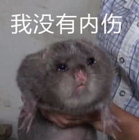 竹鼠 华农兄弟