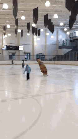 恐龙 溜冰 运动 模仿 搞笑
