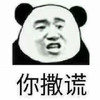 斗图 暴漫表情 你撒谎