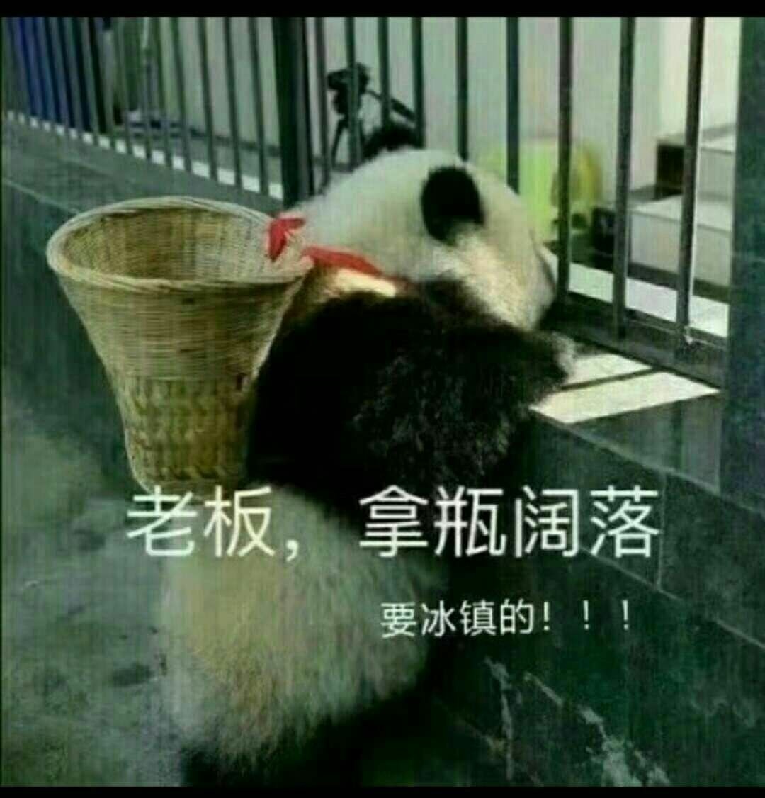 熊猫 可爱 呆萌 国宝 斗图 搞笑 老板，拿瓶可乐