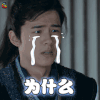 琅琊榜2 刘昊然 为什么 伤心 电视剧 soogif soogif出品