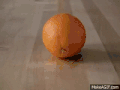 水果 橙子 皮 旋转