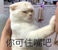 猫咪 可爱 毛茸茸 你可住嘴吧