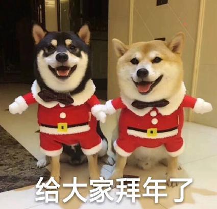 大杂烩 魔性 沙雕 搞笑 文字表情包
