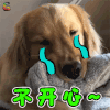萌宠 狗 伤心 不开心 soogif soogif出品