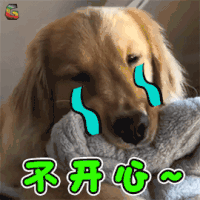 萌宠 狗 伤心 不开心 soogif soogif出品