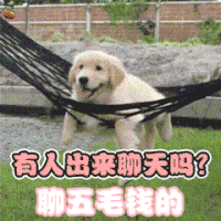 撩 可爱 卖萌 有人聊天吗？ soogif soogif出品
