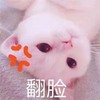 萌宠 猫星人 翻脸 倒过来 呆萌 可爱