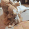 狗狗 玩偶 可爱 搞笑