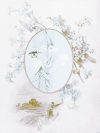 女孩 镜子 大眼 花朵