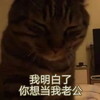 萌宠 猫星人 我明白了 你想当我老公 呆萌 可爱