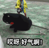 熊本熊 可爱 搞笑 笑死人