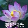 魔性 搞笑 沙雕 头像 佛系