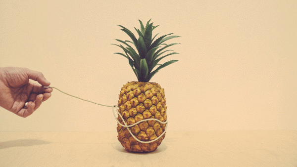菠萝 pineapple 转