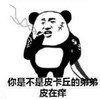 暴漫 文字表情包 你是不是皮卡丘的弟弟皮在痒 搞笑 逗 沙雕