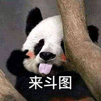 萌宠 熊猫 来斗图啊 斗图啊 淘气 调皮