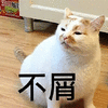 萌宠 猫咪 喵星人 不屑 拒绝