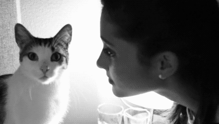 漂亮的 微笑 猫 爱 女孩 吻