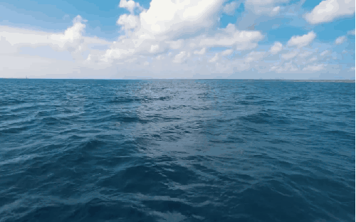 多米尼加共和国 洋面 海洋 纪录片 蓬塔卡纳 蔚蓝 风景