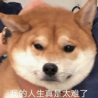 萌宠 汪星人 我的人生真是太难了 难受 呆萌 可爱