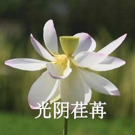 魔性 搞笑 沙雕 头像 佛系