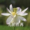 魔性 搞笑 沙雕 头像 佛系