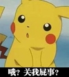 皮卡丘 惊讶 吃惊 哦关我屁事