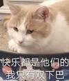 萌宠 猫星人 快乐是他们的 我只有双下巴 难受 委屈