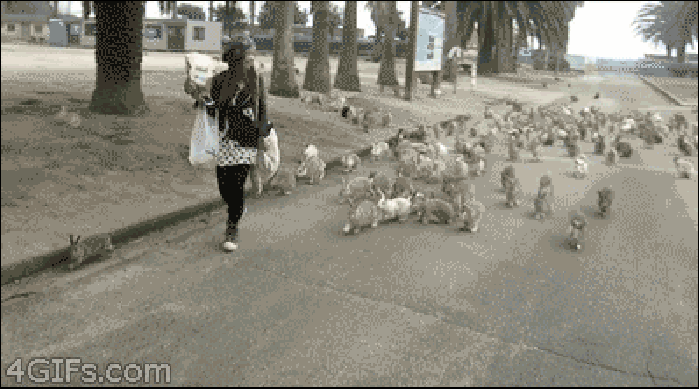 兔子 恐怖 惊吓 动态