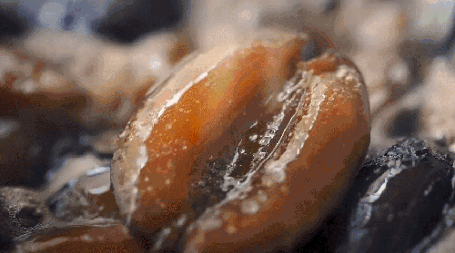 法国美食系列短片 蜜枣 覆盆子奶油冷饮 撒上