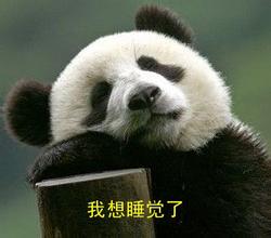 我想睡觉了熊猫可爱木头睡着了gif动图_动态图_表情包下载_soogif