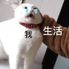 萌宠 猫咪 猫 我 生活 生活和我 伤心