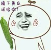 金馆长 蔬菜 开心 摘下黄瓜送给你
