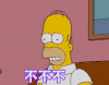 不不不  拒绝  辛普森一家