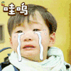 哇呜 伤心 哭泣 soogif soogif出品
