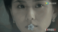 刘诗诗 美女 眼神 花