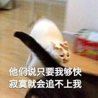 猫咪 喵星人 只要我够快寂寞就追不上我 斗图 搞笑